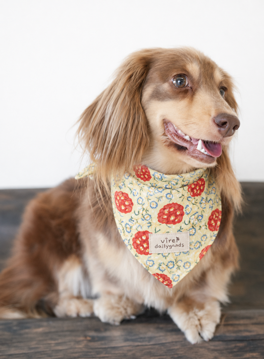 VintagePaw Plaid Triangle Scarf