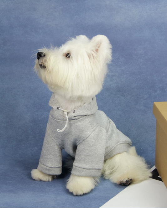 RetroPaw Graphic Hoodie Pullover