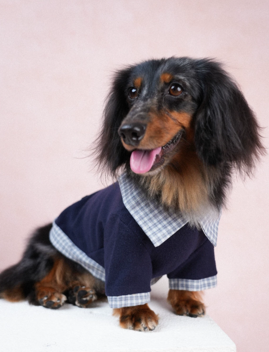 UrbanPaw Polo Street Warm Tee